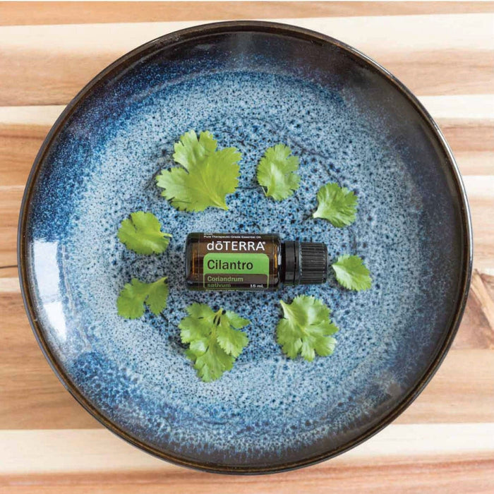 *DŌTERRA Cilantro Oil - 15ml